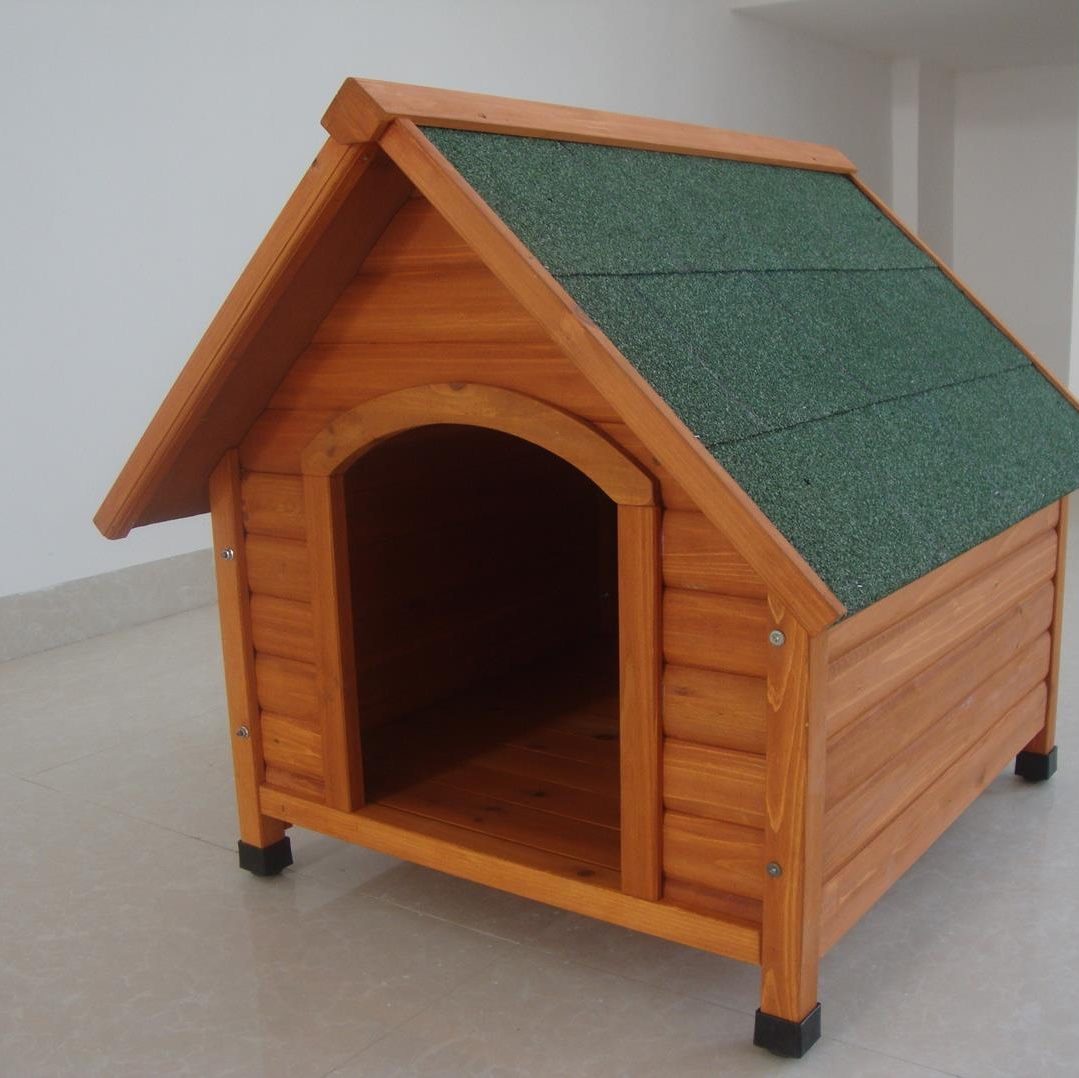 Dog house 1774x1079
